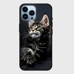 Чехол для iPhone 14 Pro Max Кошечка, цвет: 3D-черный