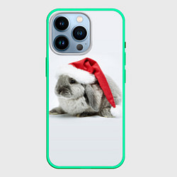 Чехол для iPhone 14 Pro Рождественский кролик - 2023, цвет: 3D-мятный