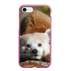 Чехол iPhone 7/8 матовый Красная панда ждёт, цвет: 3D-малиновый