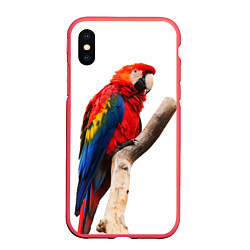 Чехол iPhone XS Max матовый Яркий попугай, цвет: 3D-красный