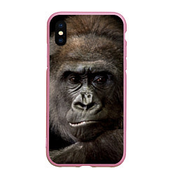 Чехол iPhone XS Max матовый Глаза гориллы