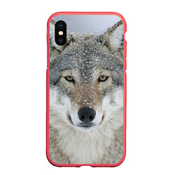 Чехол iPhone XS Max матовый Милый волк