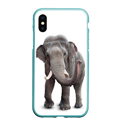 Чехол iPhone XS Max матовый Большой слон, цвет: 3D-мятный