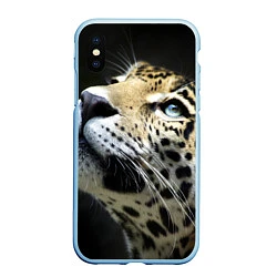 Чехол iPhone XS Max матовый Хищный леопард, цвет: 3D-голубой