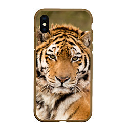 Чехол iPhone XS Max матовый Милый тигр