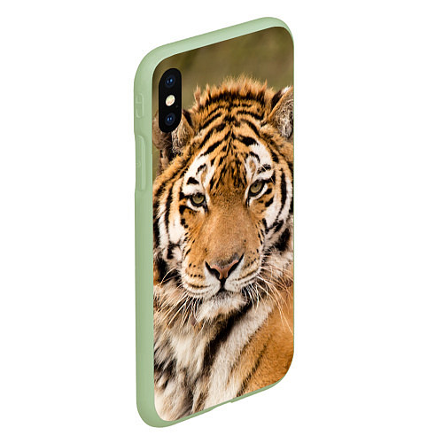 Чехол iPhone XS Max матовый Милый тигр / 3D-Салатовый – фото 2
