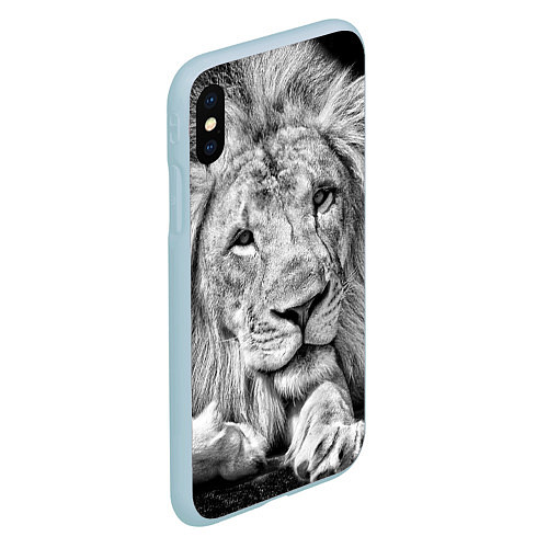 Чехол iPhone XS Max матовый Милый лев / 3D-Голубой – фото 2