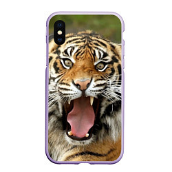 Чехол iPhone XS Max матовый Удивленный тигр