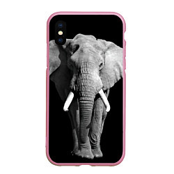 Чехол iPhone XS Max матовый Старый слон, цвет: 3D-розовый