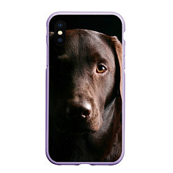 Чехол iPhone XS Max матовый Лабрадор, цвет: 3D-светло-сиреневый