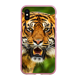 Чехол iPhone XS Max матовый Тигр, цвет: 3D-розовый