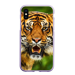 Чехол iPhone XS Max матовый Тигр, цвет: 3D-светло-сиреневый