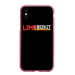 Чехол iPhone XS Max матовый Limp Bizkit