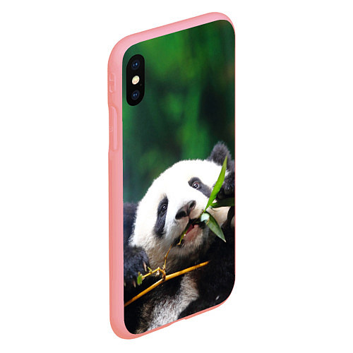 Чехол iPhone XS Max матовый Панда на ветке / 3D-Баблгам – фото 2