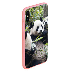 Чехол iPhone XS Max матовый Семейка панд, цвет: 3D-баблгам — фото 2