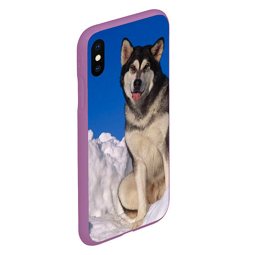 Чехол iPhone XS Max матовый Аляскинский маламут / 3D-Фиолетовый – фото 2
