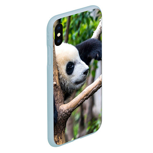 Чехол iPhone XS Max матовый Бамбуковый медведь / 3D-Голубой – фото 2