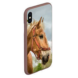 Чехол iPhone XS Max матовый Игривая лошадка, цвет: 3D-коричневый — фото 2