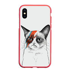 Чехол iPhone XS Max матовый David Bowie: Grumpy cat
