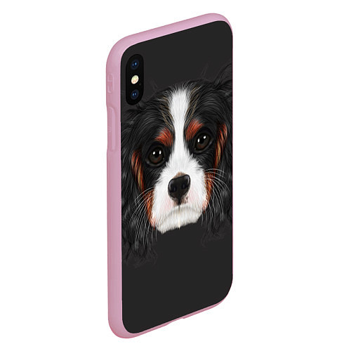 Чехол iPhone XS Max матовый Cavalier King Charles / 3D-Розовый – фото 2