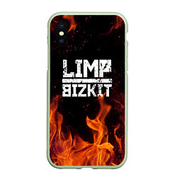 Чехол iPhone XS Max матовый LIMP BIZKIT, цвет: 3D-салатовый