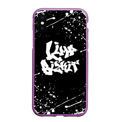 Чехол iPhone XS Max матовый LIMP BIZKIT