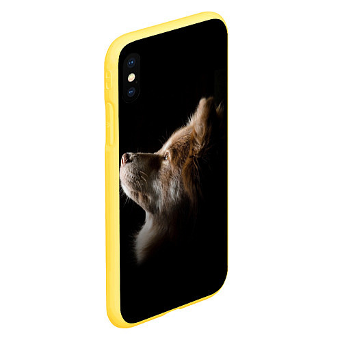 Чехол iPhone XS Max матовый Пес / 3D-Желтый – фото 2