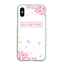 Чехол iPhone XS Max матовый BLACKPINK, цвет: 3D-салатовый