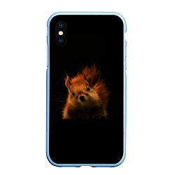 Чехол iPhone XS Max матовый Белка, цвет: 3D-голубой