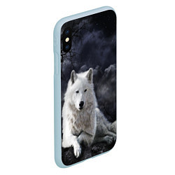 Чехол iPhone XS Max матовый БЕЛЫЙ ВОЛК D, цвет: 3D-голубой — фото 2