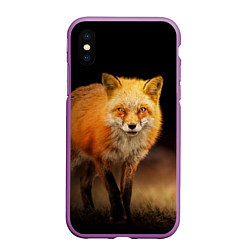 Чехол iPhone XS Max матовый Лиса, цвет: 3D-фиолетовый