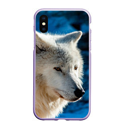 Чехол iPhone XS Max матовый Волк на черном фоне