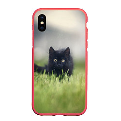 Чехол iPhone XS Max матовый Черный кот на лугу