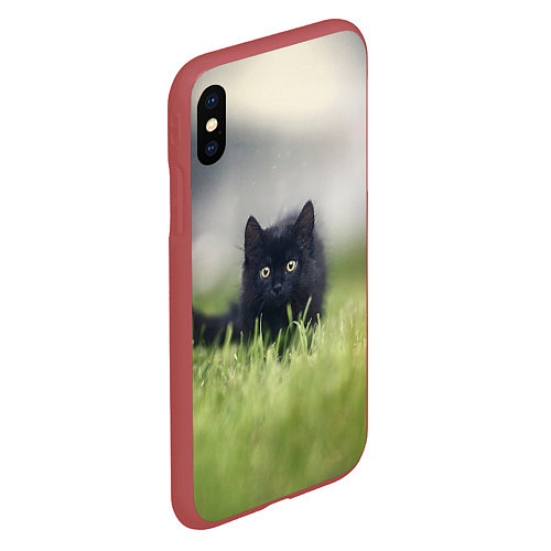 Чехол iPhone XS Max матовый Черный кот на лугу / 3D-Красный – фото 2