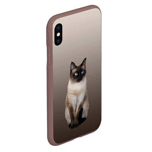 Чехол iPhone XS Max матовый Сиамский кот голубые глаза / 3D-Коричневый – фото 2