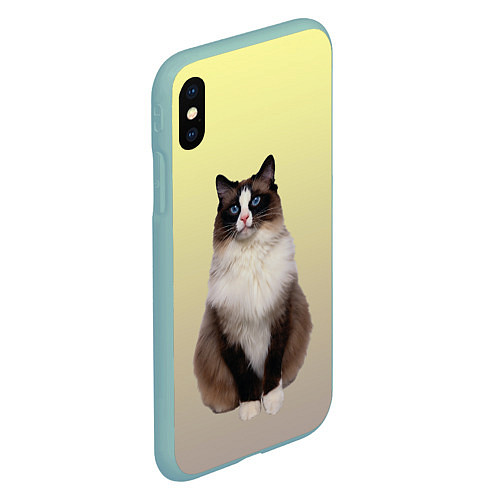 Чехол iPhone XS Max матовый Персидская пушистая кошка / 3D-Мятный – фото 2