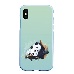 Чехол iPhone XS Max матовый Акварельные панды