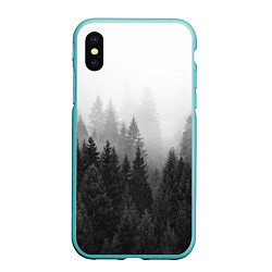 Чехол iPhone XS Max матовый Туманный лес, цвет: 3D-мятный