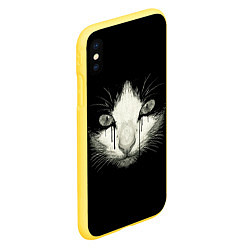 Чехол iPhone XS Max матовый ПЛАЧУЩИЙ КОТ, цвет: 3D-желтый — фото 2