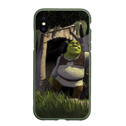 Чехол iPhone XS Max матовый Shrek: Somebody Once Told Me, цвет: 3D-темно-зеленый