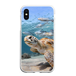Чехол iPhone XS Max матовый Морская черепаха
