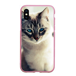 Чехол iPhone XS Max матовый Кот с Голубыми глазами, цвет: 3D-розовый