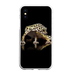 Чехол iPhone XS Max матовый ЭУБЛЕФАР EUBLEPHARIS