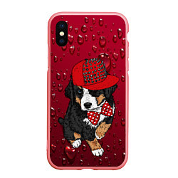 Чехол iPhone XS Max матовый Cool Dog, цвет: 3D-баблгам