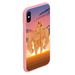 Чехол iPhone XS Max матовый Мем собака качок DOGE, цвет: 3D-баблгам — фото 2