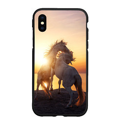Чехол iPhone XS Max матовый Лошади на закате, цвет: 3D-черный