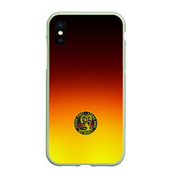 Чехол iPhone XS Max матовый Кобра Кай Cobra Kai Gadient