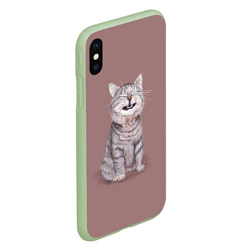 Чехол iPhone XS Max матовый Недовольный котик Disgruntled cat / 3D-Салатовый – фото 2