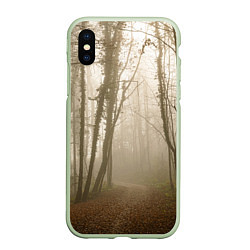 Чехол iPhone XS Max матовый Туманный лес на восходе
