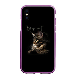 Чехол iPhone XS Max матовый Big cat Maine Coon, цвет: 3D-фиолетовый